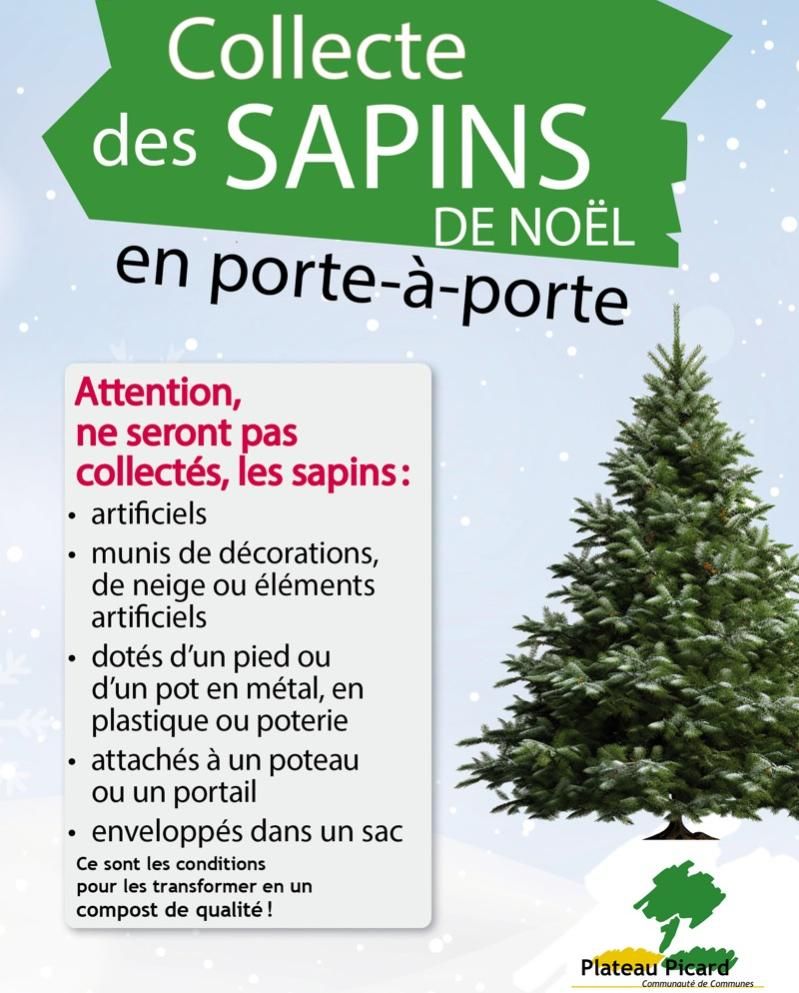 Feuil A5 Sapin neutre 20231023