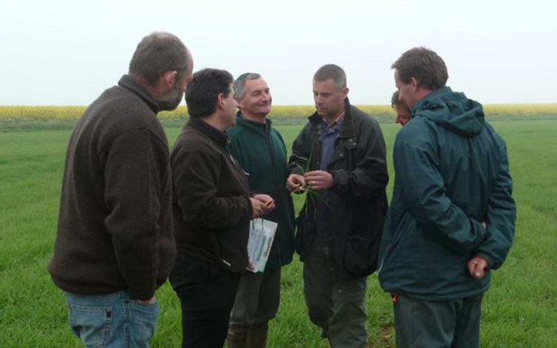 Groupe d’agriculteur échangeant dans un champ