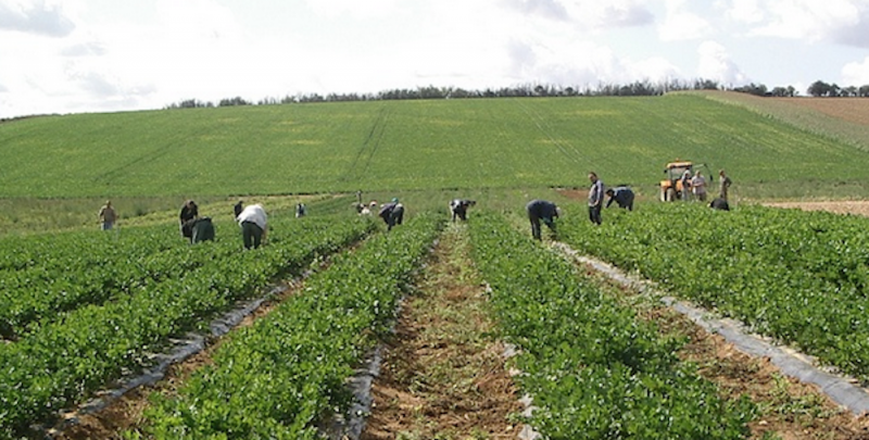 les jardins du plateau picard